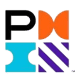 Project Management Institute (PMI) logo